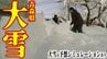 青森県が「県豪雪対策本部」を設置　「特に青森市内が危機的状況」「明らかに生活道路の除排雪が追いついていない」1月としては40年ぶりに積雪150cmの青森市　大雪のシミュレーションで見る最新予想は？　|　青森のニュース│ATV NEWS│青森テレビ