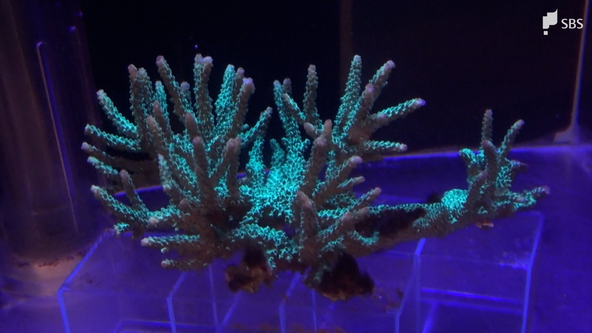 img_4e94d643bff809db7d3e957074