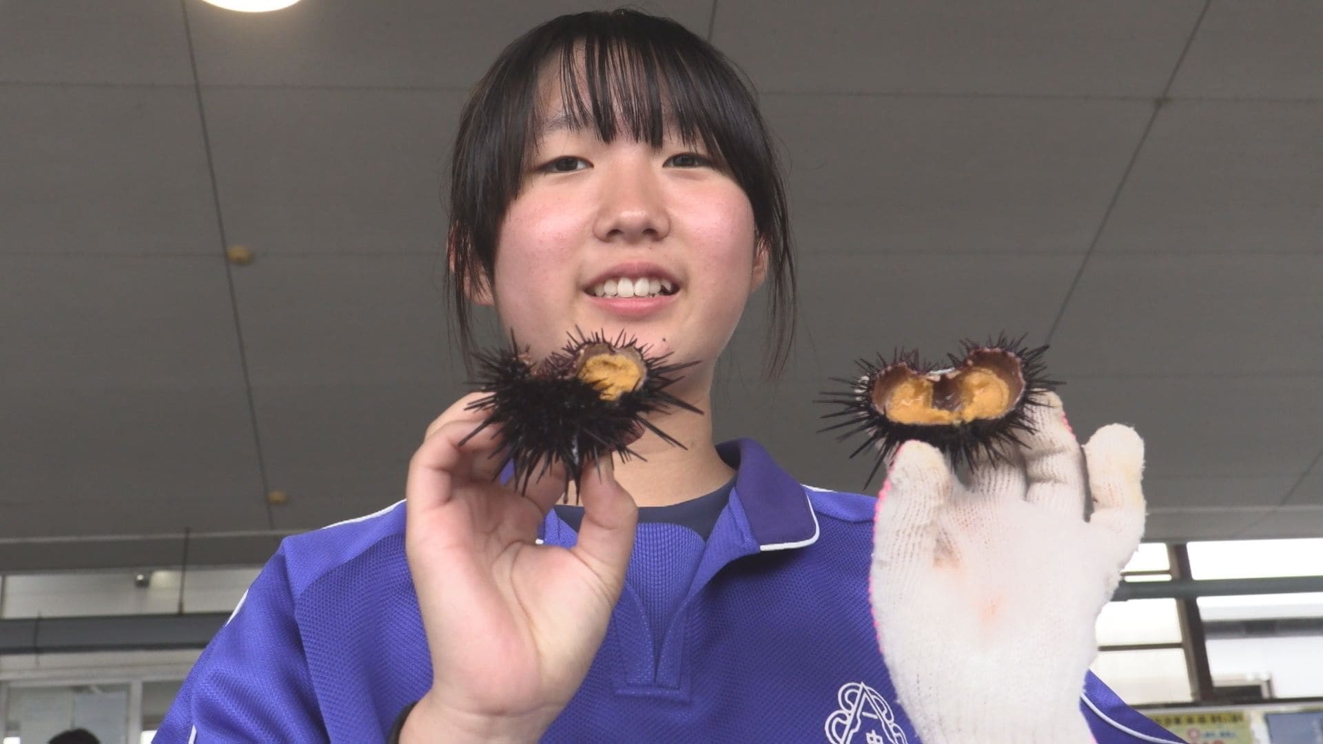 甘味が半端ない」 中学生が生ウニの殻むき体験 水槽からすくい上げその