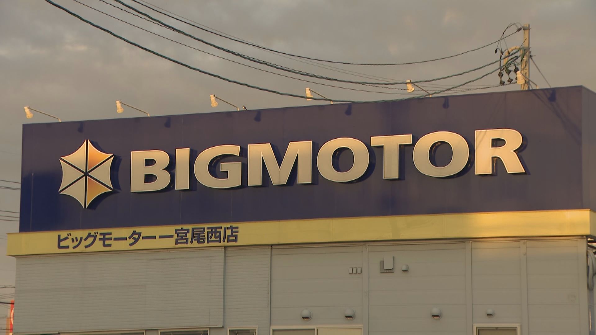 ビッグモーター一宮尾西店前の街路樹「以前、除草剤まいた」　西尾市の店舗前では除草剤の成分検出され、愛知県が被害届　