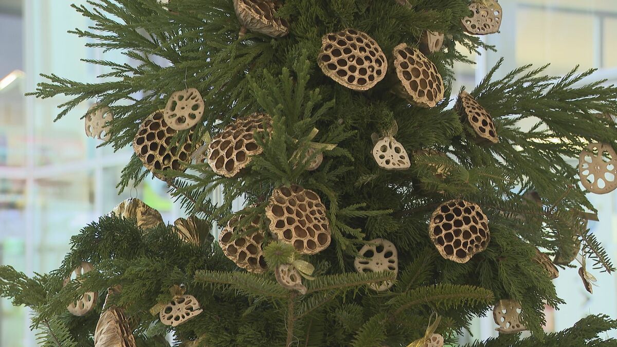 ツリーにレンコン？ご当地らしさを表現…レンコンのクリスマスツリー
