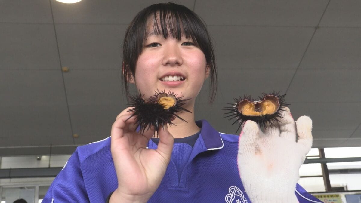 甘味が半端ない」 中学生が生ウニの殻むき体験 水槽からすくい上げその