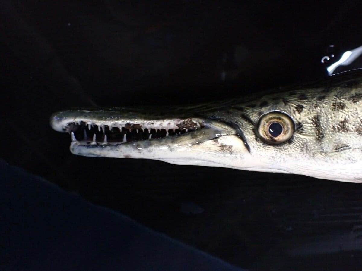 img_4ef8fcc47e861724f25ff83838