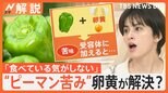 「ピーマン食べてる気がしない」ピーマンの“苦み”低減に卵黄?キユーピーが新発見【Nスタ解説】|TBS NEWS DIG