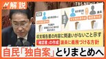 なぜ慎重姿勢?政治家自身も責任負う「連座制」 政治資金規正法改正に向け、自民「独自案」とりまとめへ【Nスタ解説】|TBS NEWS DIG