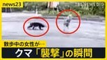 クマの目撃情報が“市街地周辺”で相次ぐ　カメラがとらえた「襲撃」の瞬間…散歩中の女性が顔ひっかかれ負傷　被害を防ぐために必要なことは？【news23】|TBS NEWS DIG
