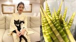 【藤あや子】「故郷のたけのこ」 “父と母を思い出しながら” 　炒め煮にして「マルオレ食堂」|TBS NEWS DIG