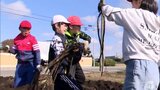 「きんぴらゴボウにして食べたい」小学生が自分たちで植え付けたゴボウの収穫に挑戦|TBS NEWS DIG