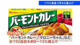 ハウス食品「バーモントカレー」「マロニーちゃん」「フルーチェ」など203品目値上げ 今年5月以降|TBS NEWS DIG