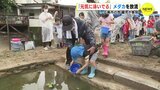 「元気に泳いでいる」メダカを放流　園児たち　自然の大切さを知って　広島市の池 　|　RCC NEWS | 広島ニュース | RCC中国放送