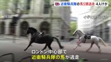 ロンドン中心部で近衛騎兵隊の馬5頭が逃走　バスに衝突するなど4人がけが|TBS NEWS DIG