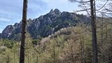70歳女性が山岳遭難 仲間と2人でクライミング後、下山中に転倒 頭部にケガ 山梨・瑞牆山|TBS NEWS DIG