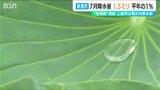 「記録的な空梅雨」新潟市などで10日ぶりの雨も降水は記録されず… 7月の降水量は平年の1%以下 上越市では渇水対策本部設置|TBS NEWS DIG