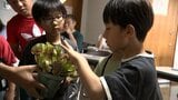 どうやって虫を食べるの?進化の謎に迫る「食虫植物」展【岡山】 | 岡山・香川のニュース | 天気 | RSK山陽放送