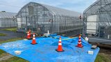 配管の腐食でビニールハウス用灯油939リットル流出 大分県の農業研究施設 | 大分のニュース|OBS NEWS|大分放送