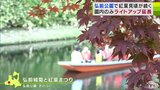 「弘前城菊と紅葉まつり」は閉幕も見頃が続く『紅葉』 園内のみ夜間ライトアップは17日まで延長 青森県弘前市・弘前公園 | 青森のニュース│ATV NEWS│青森テレビ