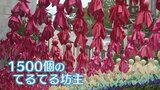 雨に濡れると色が変わる! 1500個の「ふれふれ坊主」が通りを彩る 山梨・北杜市 リゾナーレ八ヶ岳 | 山梨のニュース | UTYテレビ山梨