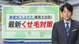 もう「くせ毛」に悩む必要なし…美容業界も驚く新成分「トステア」でサラツヤ髪に！逆転の発想“くせ活”もブームに【THE TIME,】 |TBS NEWS DIG