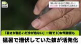 猛暑で潜伏していた蚊が活発化「暑さが和らいだ今が危ない」一晩で10か所被害も|TBS NEWS DIG