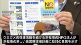 “ふ化したばかりの子ガメが海ではなく陸に向かってしまう”NPO法人が新県営野球場に反対意思＝浜松市　|　静岡のニュース | SBSNEWS | 静岡放送