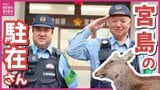 「良い思い出だけ作って」“宮島の駐在さん”に密着　世界遺産の島を守る２人の駐在さん　島の人や観光客に寄り添い シカも慕う“島のヒーロー”|TBS NEWS DIG