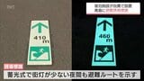 宿泊施設が自費で設置 宮崎市青島の道路に夜でも確認できる避難誘導の標識 | MRTニュース | MRT宮崎放送