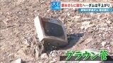 水没した集落の名残? ダムは干上がり湖底には足袋やブラウン管のテレビが…  3月中旬にも貯水率0%になる可能性 愛知の豊川用水|TBS NEWS DIG