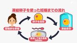「ライフプランとキャリアプランの選択肢に」健康な女性の間でも注目の「卵子凍結」 背景と現状は | 静岡のニュース | SBSNEWS | 静岡放送