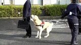 麻薬探知犬でラブラドールのニック号(7)も参加　税関「年末特別警戒」出動式　鹿児島市|TBS NEWS DIG