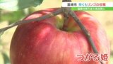 「甘酸っぱくておいしい」真夏に実る夏リンゴ 早くも収獲 山梨 | 山梨のニュース | UTYテレビ山梨
