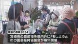 宮崎県宮崎市の特産品をPR　空港で「園芸の祭典」　|　MRTニュース ｜ ＭＲＴ宮崎放送