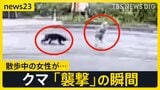 クマの目撃情報が“市街地周辺”で相次ぐ　カメラがとらえた「襲撃」の瞬間…散歩中の女性が顔ひっかかれ負傷　被害を防ぐために必要なことは？【news23】|TBS NEWS DIG