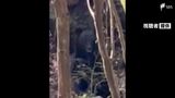 「臭いなと思ったら後ろにクマが…生きた心地しなかった」渓流釣りの男性がクマと遭遇の一部始終=静岡市清水区【詳報】 | 静岡のニュース | SBSNEWS | 静岡放送