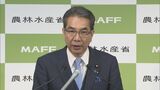 残り6万トンの備蓄米放出「できるだけ早く対応する」 江藤農水大臣|TBS NEWS DIG