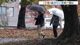 「小雪」は冷たい雨の一日に　大気の状態不安定で落雷や竜巻・急な強い雨に注意　富山　|　富山のニュース｜天気・防災｜チューリップテレビ