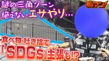 食べたものを吐き捨て「ＳＤＧｓで動物が拾う」と主張する人も　大阪・西成“謎の三角スペース”でハトへのエサやりが絶えない！近隣住民らは『フン害』に苦悩　|　MBSニュース | 関西の最新ニュースを分かりやすく。