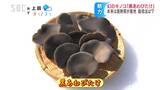 幻のキノコ…「黒あわび茸」食感はまるで「アワビ」イタリアンにもメンチカツにも… LED使って独特の栽培、生産量少なく…万博弁当への採用で知名度アップに期待 | SBC NEWS | 長野のニュース | SBC信越放送
