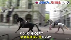 ロンドン中心部で近衛騎兵隊の馬5頭が逃走　バスに衝突するなど4人がけが| TBS CROSS DIG with Bloomberg