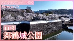 石垣と桜の絶景【JNN sakuraドローンDIG 2025】|TBS NEWS DIG