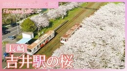 列車と桜 MR吉井駅の桜【JNN sakuraドローンDIG 2024】|TBS NEWS DIG