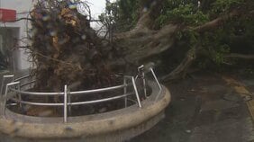 【台風6号】沖縄本島は暴風域に 各地で倒木や停電などの被害 今夜遅くにかけて沖縄本島地方に最接近の見通し|TBS NEWS DIG