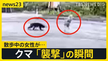 クマの目撃情報が“市街地周辺”で相次ぐ カメラがとらえた「襲撃」の