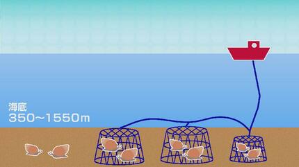 貝製品その②川揚がり