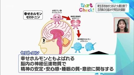 4月から1か月一生懸命やった結果」あらわれる五月病の症状と幸せ