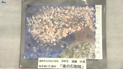 石割桜や小岩井農場そして高松の池など舞台に小学生が描く 「桜の札所