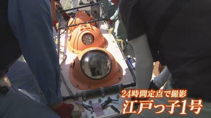 富山湾のシロエビはどこへ？海中ロボットが深海調査、地震後の漁場の