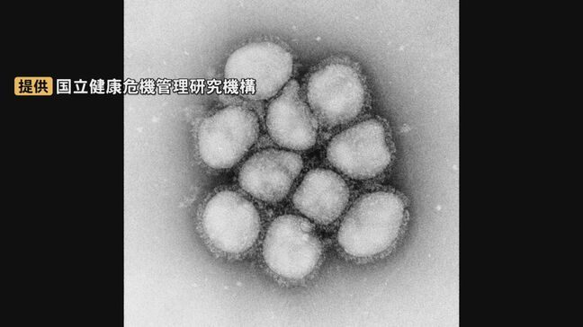 インフルエンザB型増え始め…島根では今冬、記録取り始めて最も多い数字記録|TBS NEWS DIG
