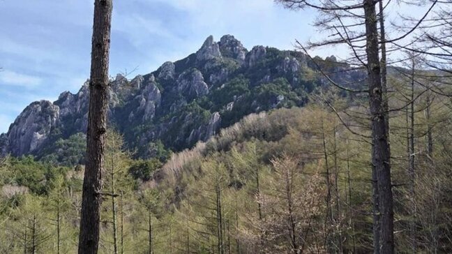 70歳女性が山岳遭難 仲間と2人でクライミング後、下山中に転倒 頭部にケガ 山梨・瑞牆山|TBS NEWS DIG