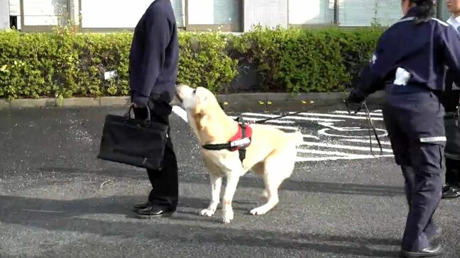 麻薬探知犬でラブラドールのニック号(7)も参加　税関「年末特別警戒」出動式　鹿児島市|TBS NEWS DIG