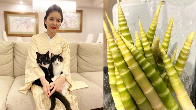【藤あや子】「故郷のたけのこ」 “父と母を思い出しながら” 炒め煮にして「マルオレ食堂」|TBS NEWS DIG